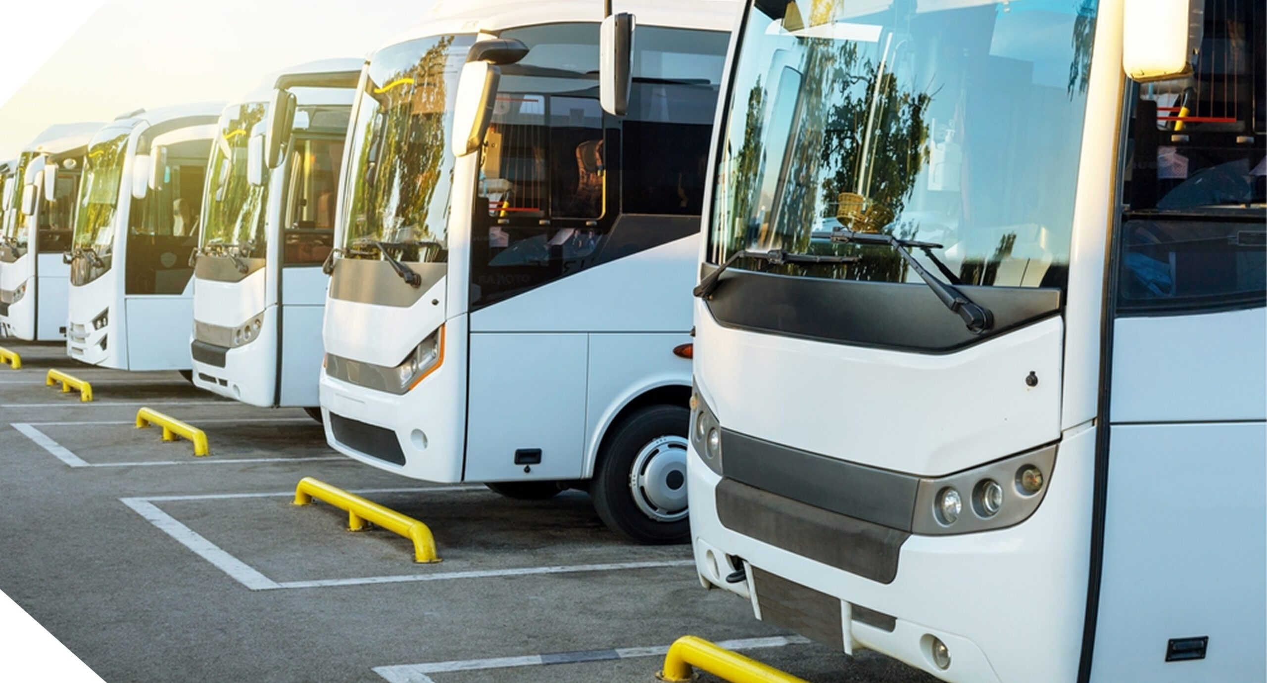 trasferimenti aeroportuali