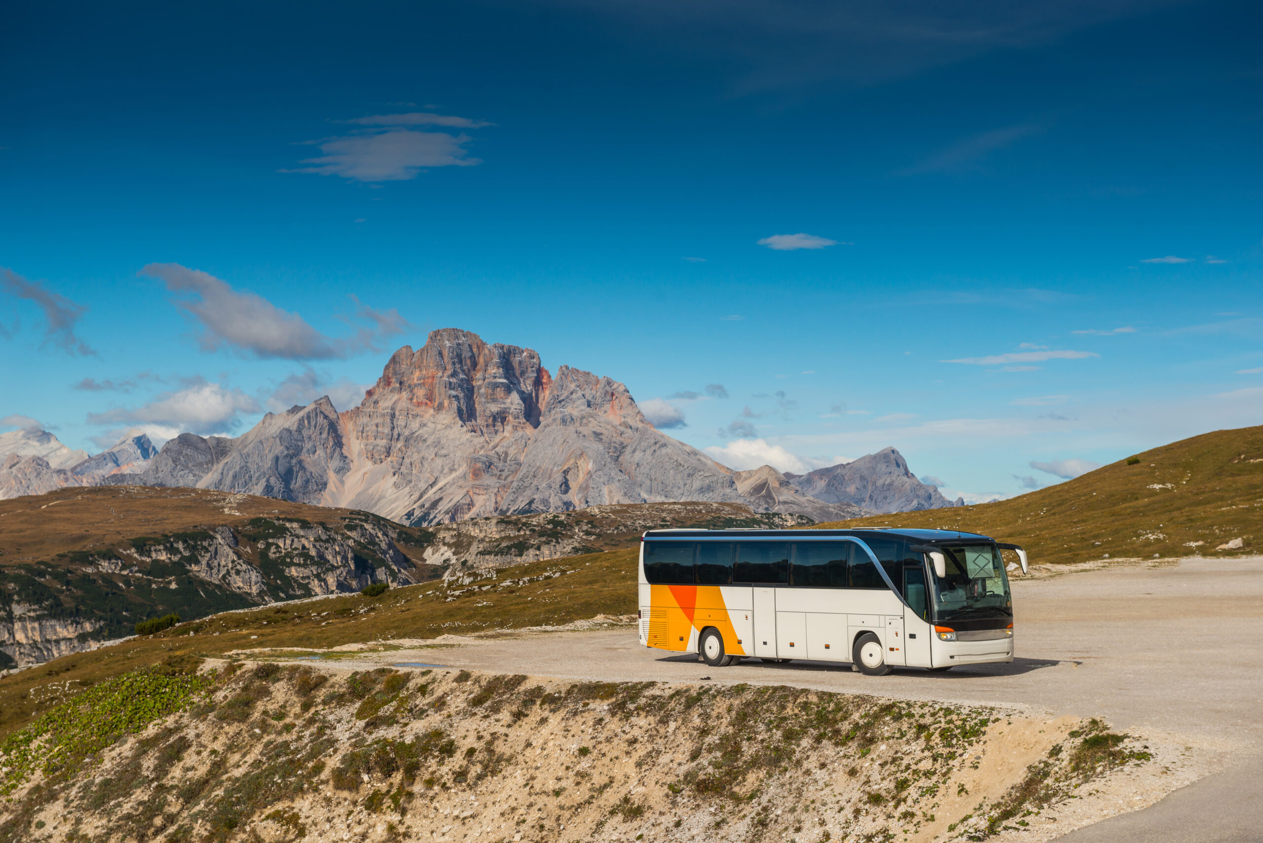 noleggio bus con conducente