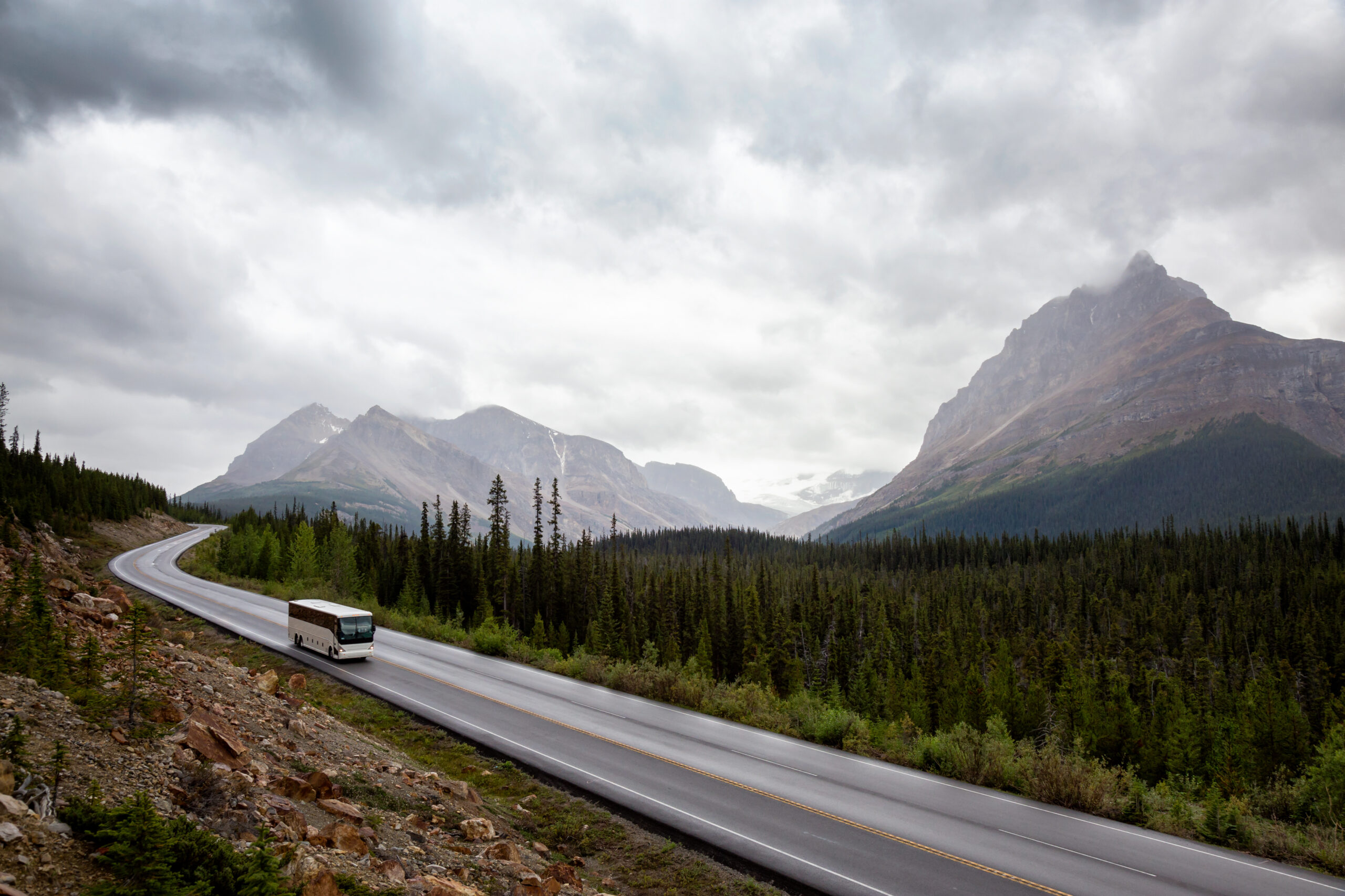 Noleggio autobus con conducente