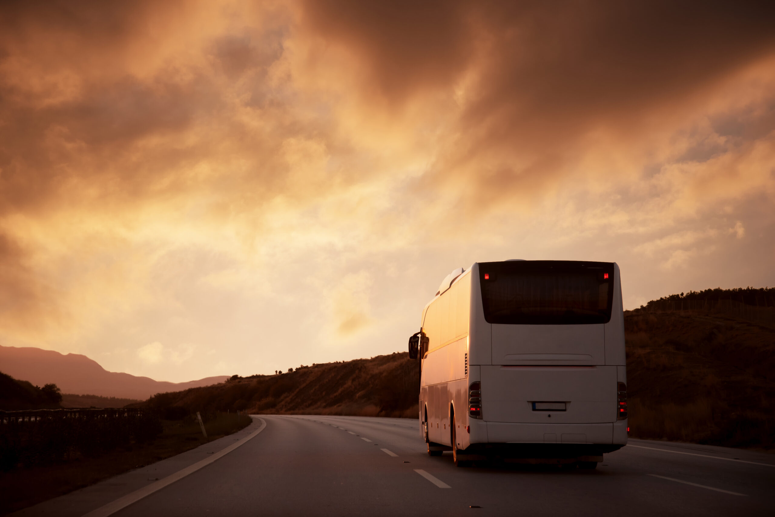 noleggio bus con conducente